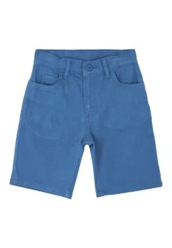 DeFacto Regular Fit- Shorts - Blue