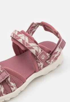 Jack Wolfskin 2 In 1 - Sandalias De Senderismo - Ash Mauve -tienda de zapatos 2dad18c3fb714a598ad5169a133d6efc