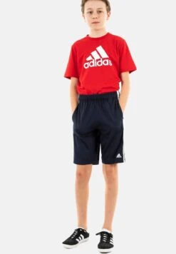 Adidas Originals Shorts - Bleu