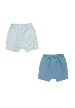 DeFacto 2Pack Regular Fit- Shorts - Blue